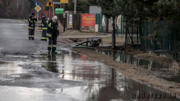 Belka w oku wójta?